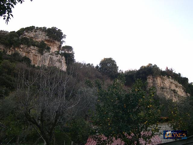 monte della selva.JPG